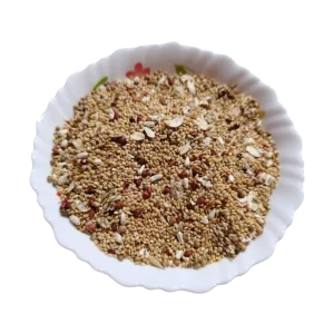 غذای رویایی طوطی سانان