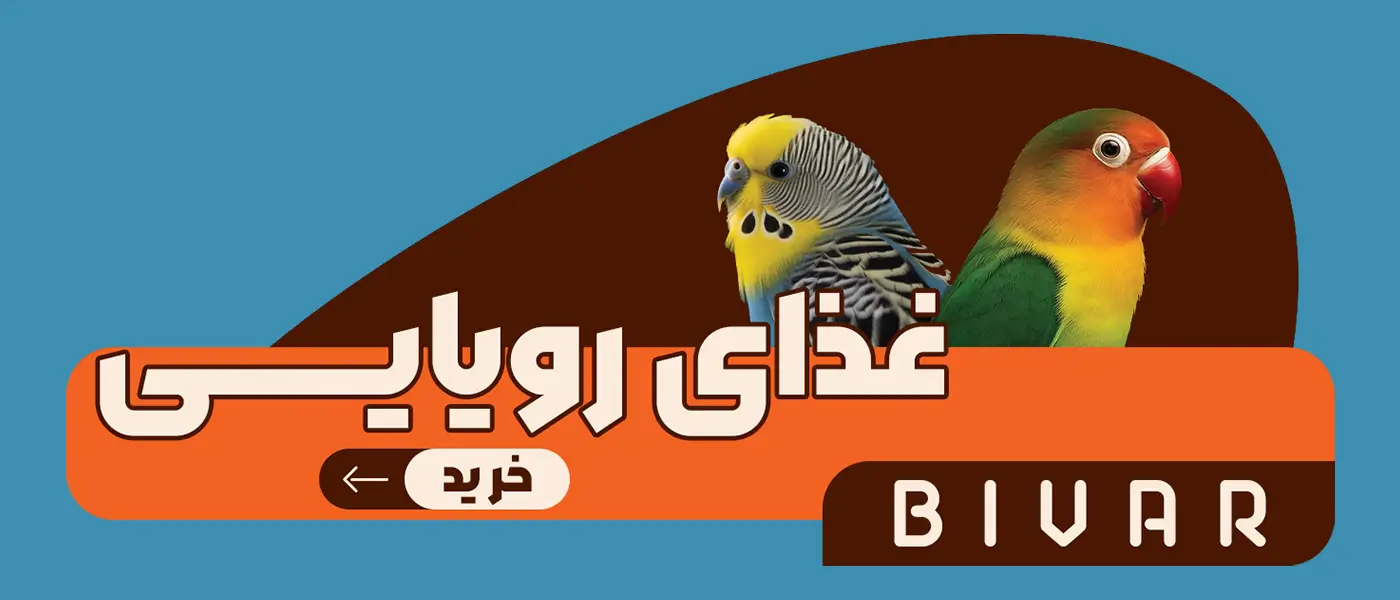 غذای رویایی طوطی سانان برند بیوار