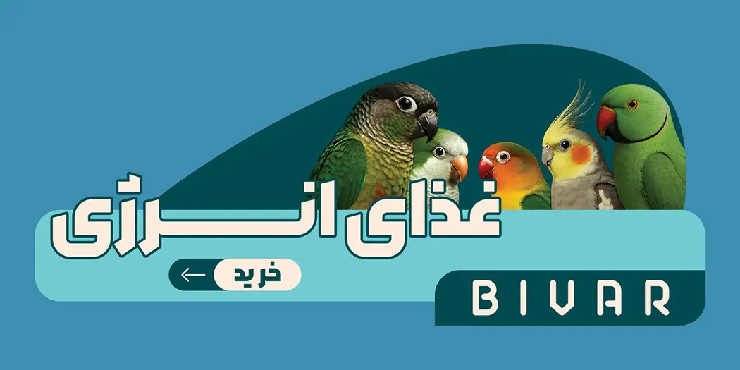 غذای انرژی طوطی سانان برند بیوار - اسلایدر موبایل