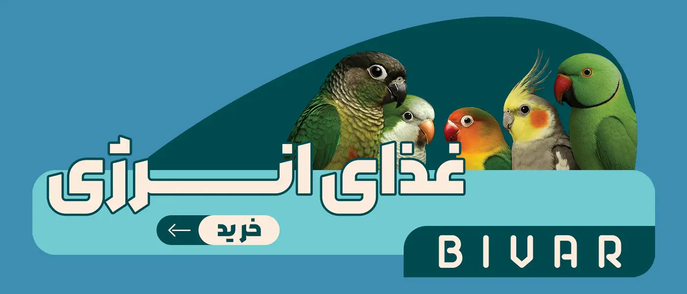 غذای انرژی طوطی سانان برند بیوار