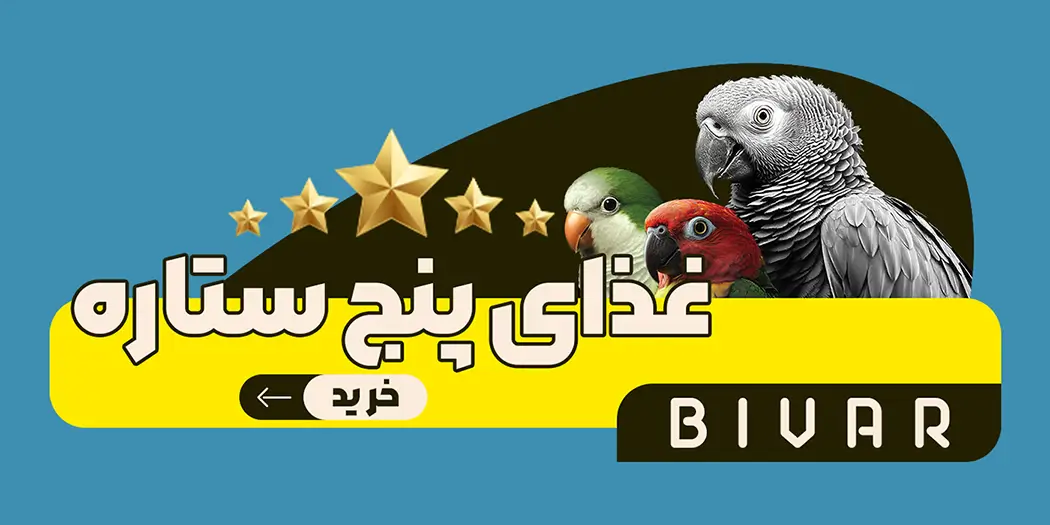 غذای پنج ستاره طوطی سانان برند بیوار - اسلایدر موبایل