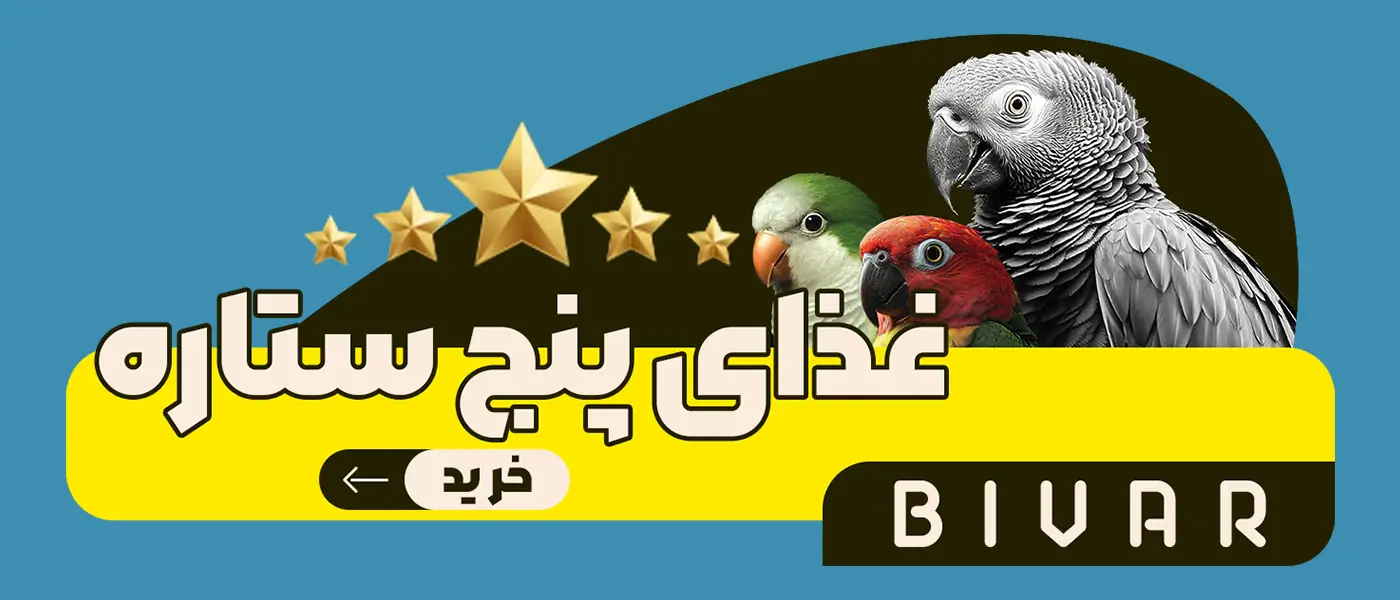 غذای پنج ستاره طوطی سانان برند بیوار