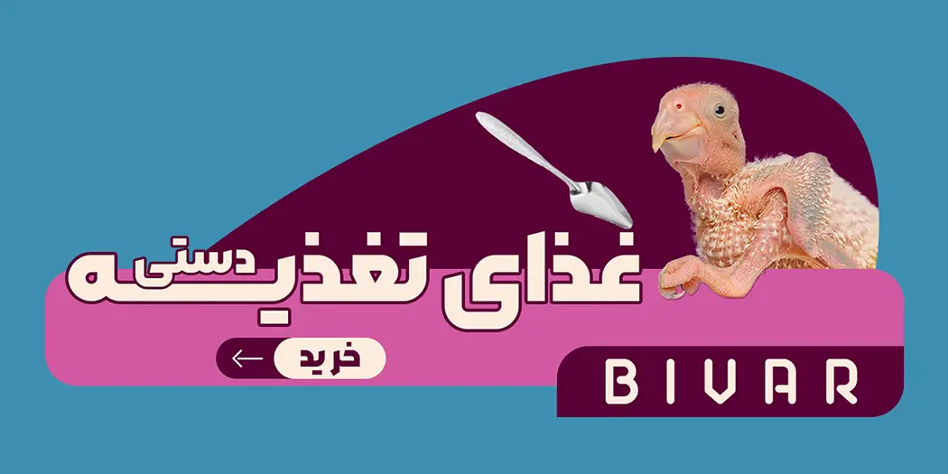 سرلاک طوطی سانان برند بیوار - اسلایدر موبایل